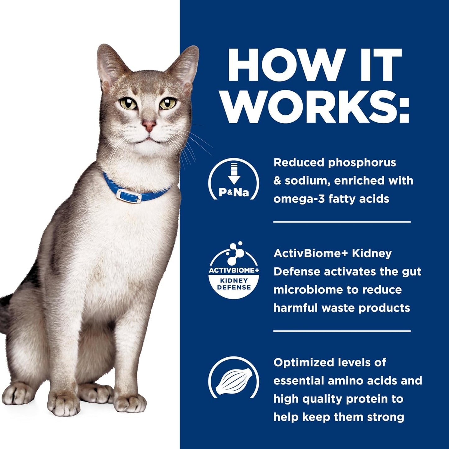 Hill'S Prescription Diet K/D Kidney Care Dry Cat Food, Ocean Fish, 4 Lb. Bag