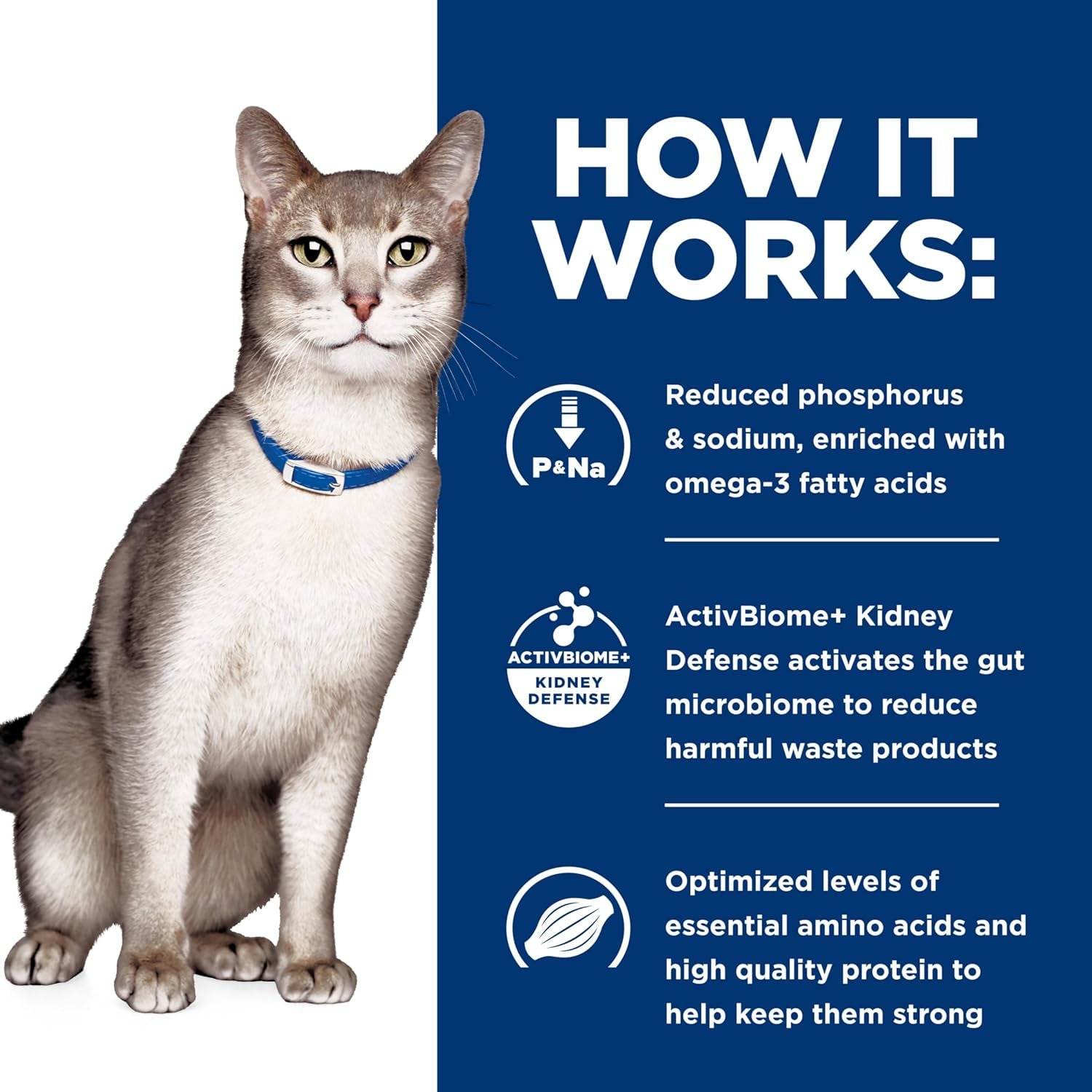 Hill'S Prescription Diet K/D Kidney Care Dry Cat Food, Ocean Fish, 4 Lb. Bag